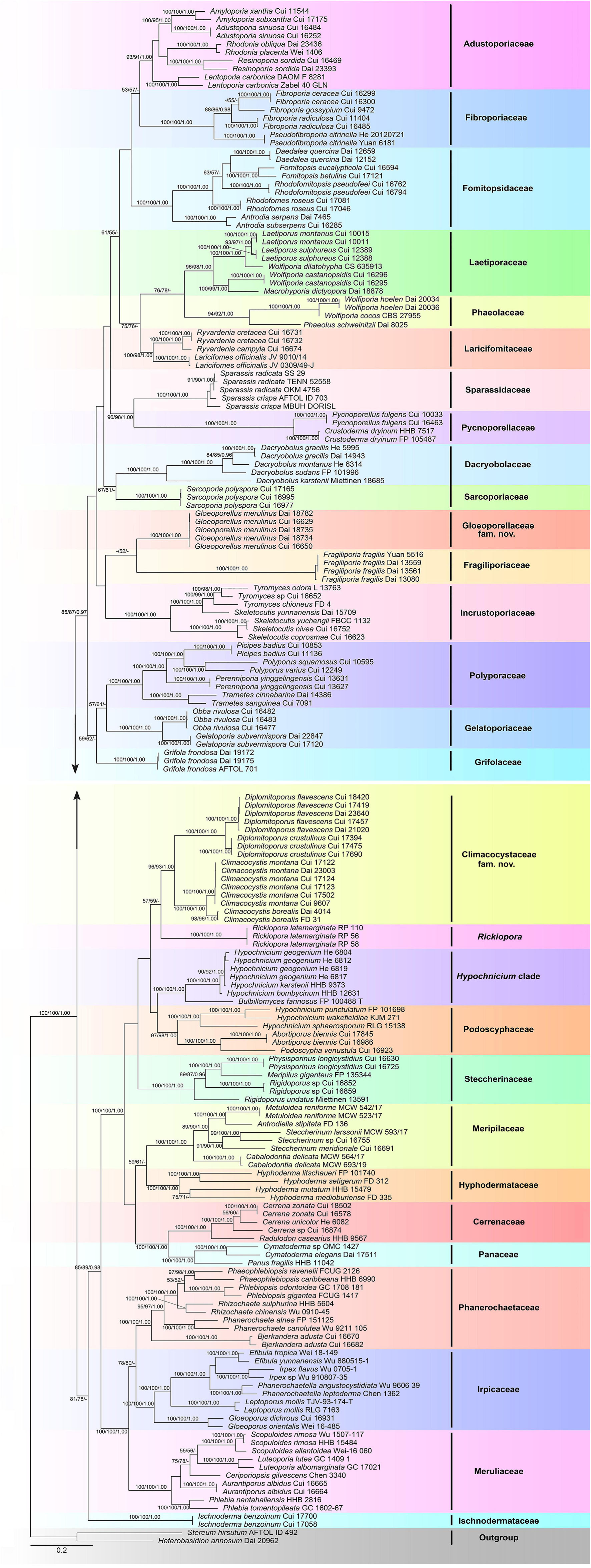Climacocystaceae fam. nov. and Gloeoporellaceae fam. nov., two new families of Polyporales (Basidiomycota)